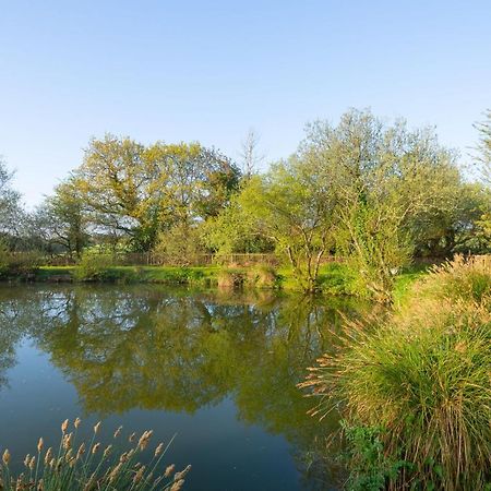 Grampound Our Goldfinch 1- Sleeps 2 Persons- Private Hot Tub-Pet Friendly-Tranquil Holiday Away From It All Yet Not Far From St Austell- The Holiday Home Has One Bedroom, Living And Dining Area, Equipped Kitchen-Decking-Outdoor Furniture-Fishing Lakes And More מראה חיצוני תמונה