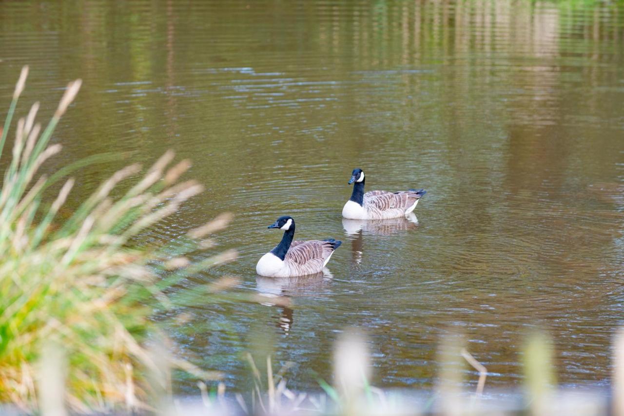 Grampound Our Goldfinch 1- Sleeps 2 Persons- Private Hot Tub-Pet Friendly-Tranquil Holiday Away From It All Yet Not Far From St Austell- The Holiday Home Has One Bedroom, Living And Dining Area, Equipped Kitchen-Decking-Outdoor Furniture-Fishing Lakes And More מראה חיצוני תמונה